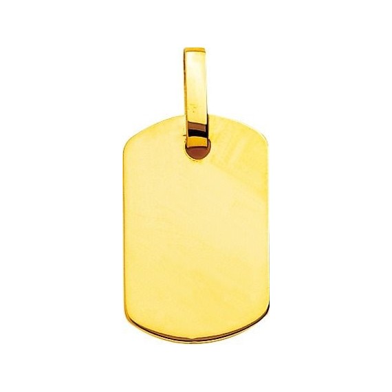Pendentif LEON or jaune 750 /°° dimensions 25 mm x 16 mm