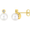 Boucles d'oreilles PRECIOSA...