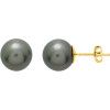 Boucles d'oreilles POE...